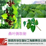 供應(yīng)植物提取物桑葉提取物DNJ