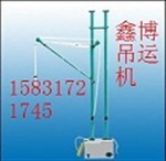 懸臂吊運(yùn)機(jī)建筑小吊機(jī)快速小型吊運(yùn)機(jī)家用吊機(jī)