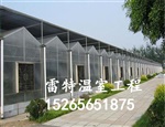 供應(yīng)花卉溫室建設(shè)廠家 花卉大棚建設(shè) 價(jià)格低