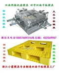 專做1.2米塑膠叉車插鋼管托盤模具供應(yīng)商