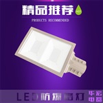 專業(yè)LED防爆路燈 LED防爆燈 專業(yè)防爆燈