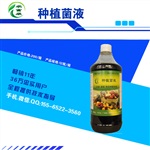 果樹灌跟em菌能增加葡萄的產(chǎn)量么