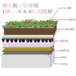 供應(yīng)寧波到臺州2公分3公分屋頂綠化蓄排水板