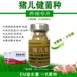 肥豬吃豬兒健em益生菌效果好不好呢