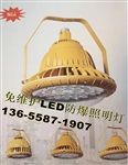 BLD130-80H 護欄式80WLED防爆照明燈