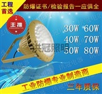 Led防爆燈 海洋王 40w