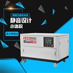 歐洲獅25kw汽油發(fā)電機廠家