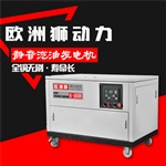 20KW靜音汽油發(fā)電機自動調(diào)速