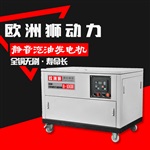 20kw歐洲獅汽油發(fā)電機(jī)報(bào)價(jià)