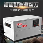 無(wú)刷免維護(hù)20KW汽油發(fā)電機(jī)