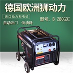 稀土永磁300A汽油發(fā)電電焊機(jī)