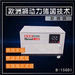 進(jìn)口動(dòng)力汽油發(fā)電機(jī)25千瓦B-25GDI