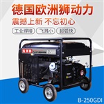 施工常用250A汽油發(fā)電電焊機(jī)