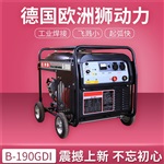 工業(yè)用氬弧焊發(fā)電電焊機(jī)價(jià)格