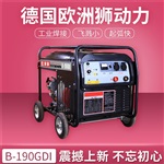 風(fēng)冷300A氬弧焊發(fā)電電焊一體機(jī)