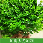 婚禮背板花墻塑料假草皮寫字樓裝飾仿真植物綠植草