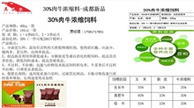 西門塔爾牛一頭牛一天要吃多少飼料，招代理牛飼料