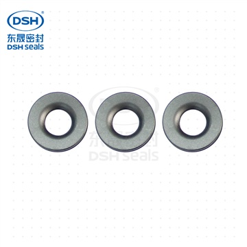 東晟密封四氟B型油封密封圈應(yīng)用于油壓馬達(dá)機(jī)械