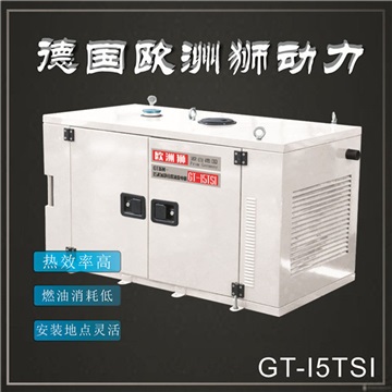 GT-20TSI高原柴油發(fā)電機(jī)20千瓦