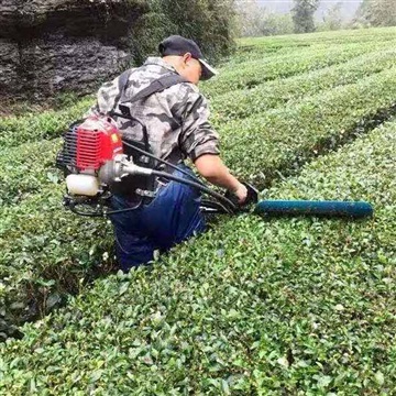 電動汽油茶葉茶樹修剪機汽油剪綠籬修樹枝剪茶機彎刀片