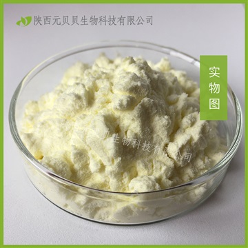 哈密瓜果汁粉壹貝子實(shí)力工廠現(xiàn)貨原料批發(fā)哈密瓜粉