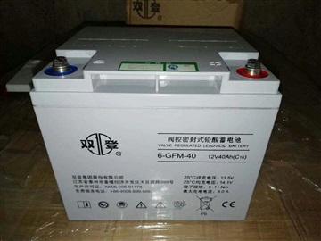 雙登蓄電池6-GFM-40免維護(hù)12V40AH原裝