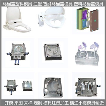 小霞模具做塑料全自動(dòng)塑膠馬桶蓋模具