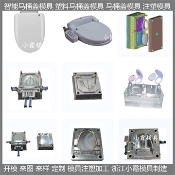 塑膠模具塑料模具智能塑料馬桶蓋塑料模具