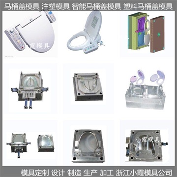 塑膠模具塑料模具小霞模具全自動(dòng)馬桶蓋塑膠模具