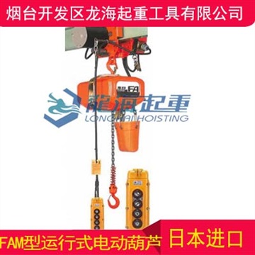 FAM-1型運(yùn)行式電動葫蘆,進(jìn)口運(yùn)行式電動葫蘆報(bào)價(jià)