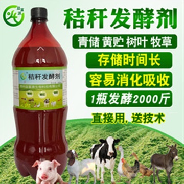 甘蔗葉牧草甜象草甘蔗渣秸稈發(fā)酵劑飼料喂牛羊