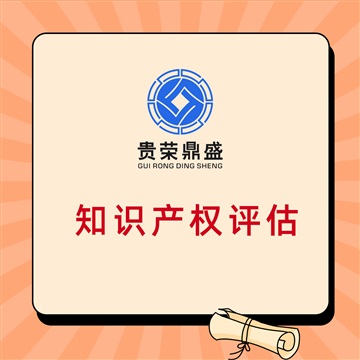 武漢市知識產(chǎn)權(quán)評估專利出資評估軟著增資評估貴榮鼎盛