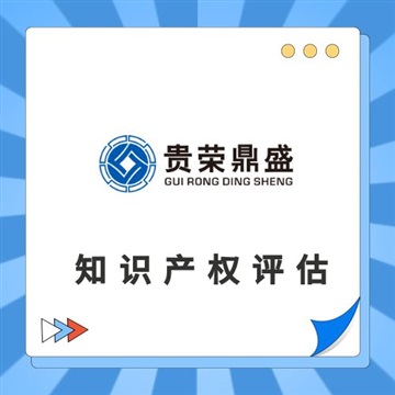 沈陽市專利出資評估軟著實(shí)繳評估商標(biāo)價值評估知識產(chǎn)權(quán)