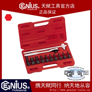 天賦工具12件套公制內(nèi)6角套筒扳手組TH-412H