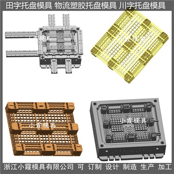 黃巖注塑模具工廠 地板模具	塑膠托盤模具