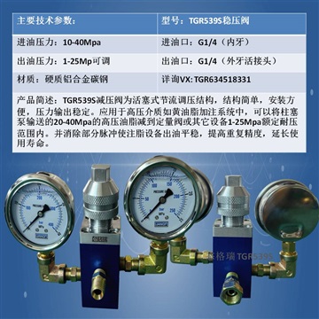 態(tài)格瑞TGR539S穩(wěn)壓閥黃油機減壓閥油脂加注降壓