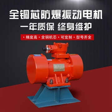 粉塵防爆振動(dòng)電機(jī) YBZH高效率電機(jī) 全密封電動(dòng)機(jī)