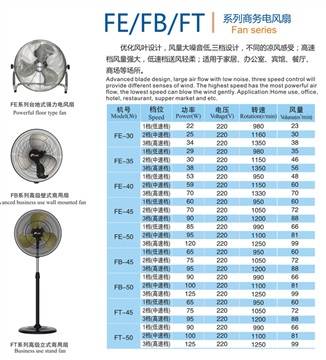 FE/FB/FT商務(wù)電風(fēng)扇