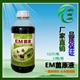 em菌对果树苗的用途