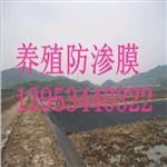 山东青岛0.5mm鱼塘防渗膜厂家