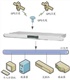 GPS授时器|GPS授时系统|GPS授时服务器