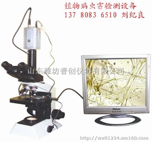 植物病虫害检测设备，病虫害检测仪