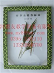 昆虫标本-图为竹节虫拟态标本