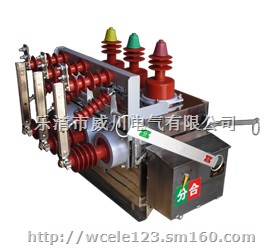 正品ZW7真空断路器厂家