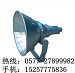 建筑场地投射灯-海洋王NTC9200防震型投光灯