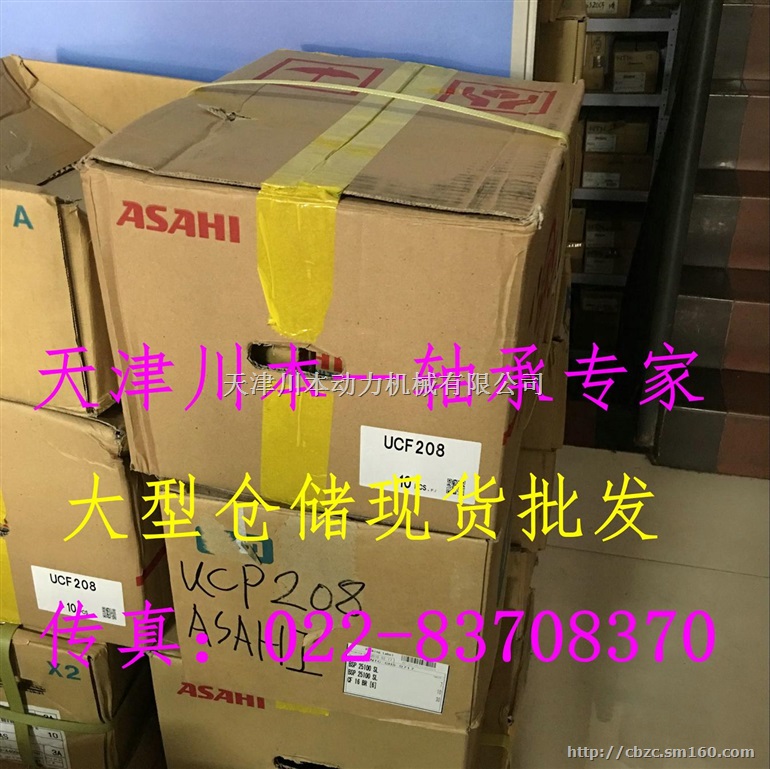 1213K进口轴承调心球轴承NSK