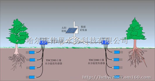 土壤水分监测仪