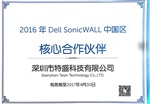 DELL SonicWALL TZ300