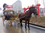 广东出租圣诞元旦特推出新款皇家马车 节日庆典马车马