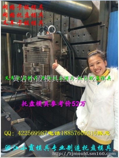 台州做塑料模具 1.4米叉车卡板模具mould